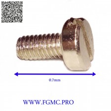 VIS FIXTATION PIED PRESEUR